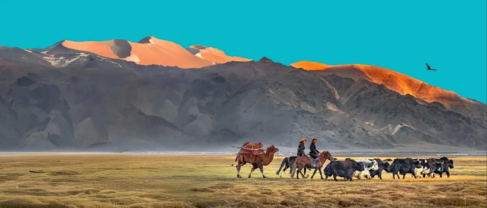 Mongolia’s COP17: Where Sustainable Land Management Ambition Meets Investment Opportunity
